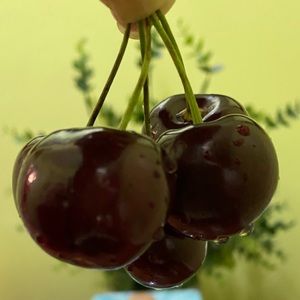 Meet your Posher, Karina